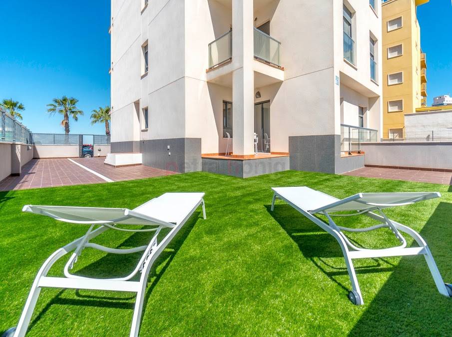 Reventa - Apartamento - Guardamar del Segura