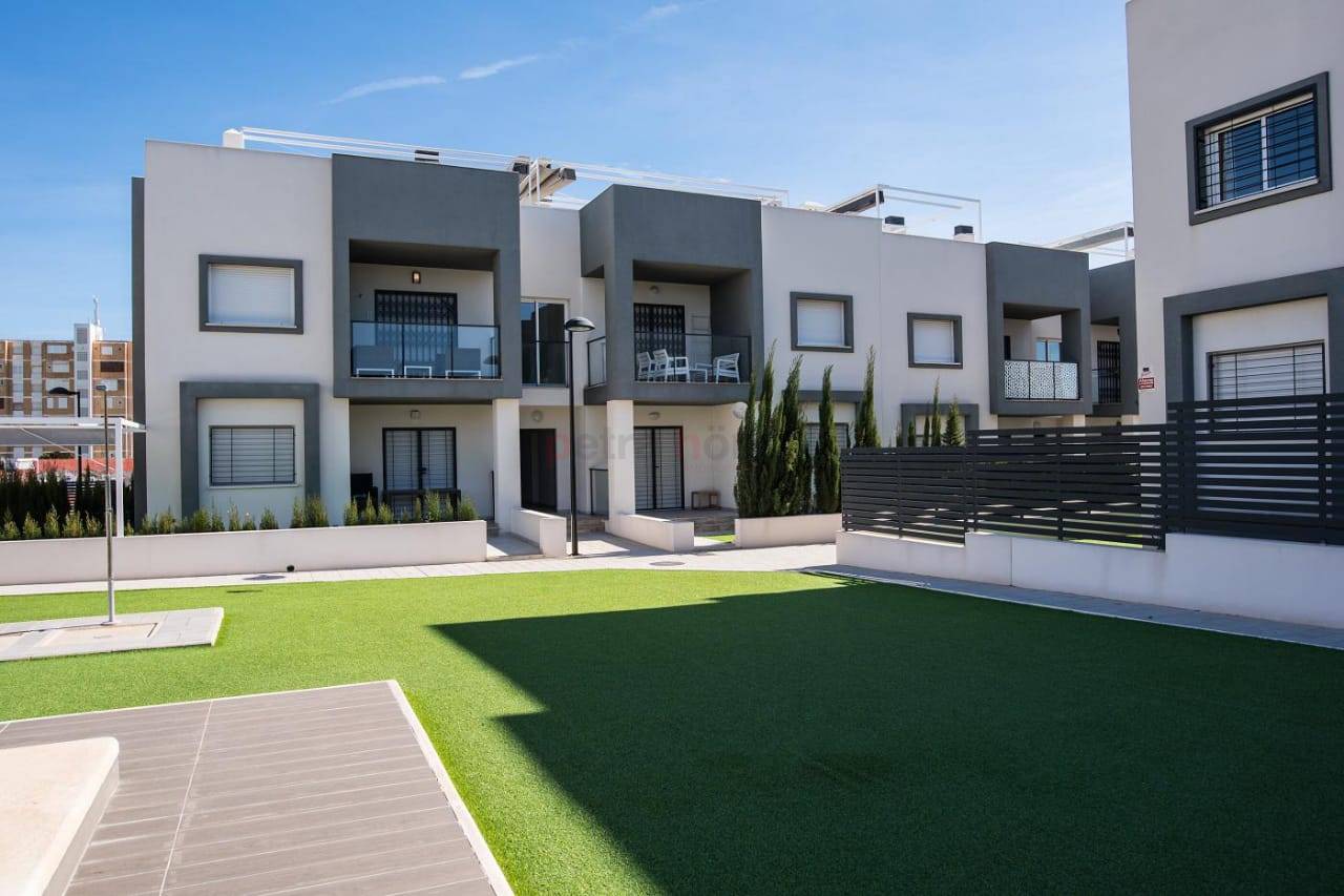 Neubau-Projekte - Bungalow - Torrevieja - Aguas Nuevas