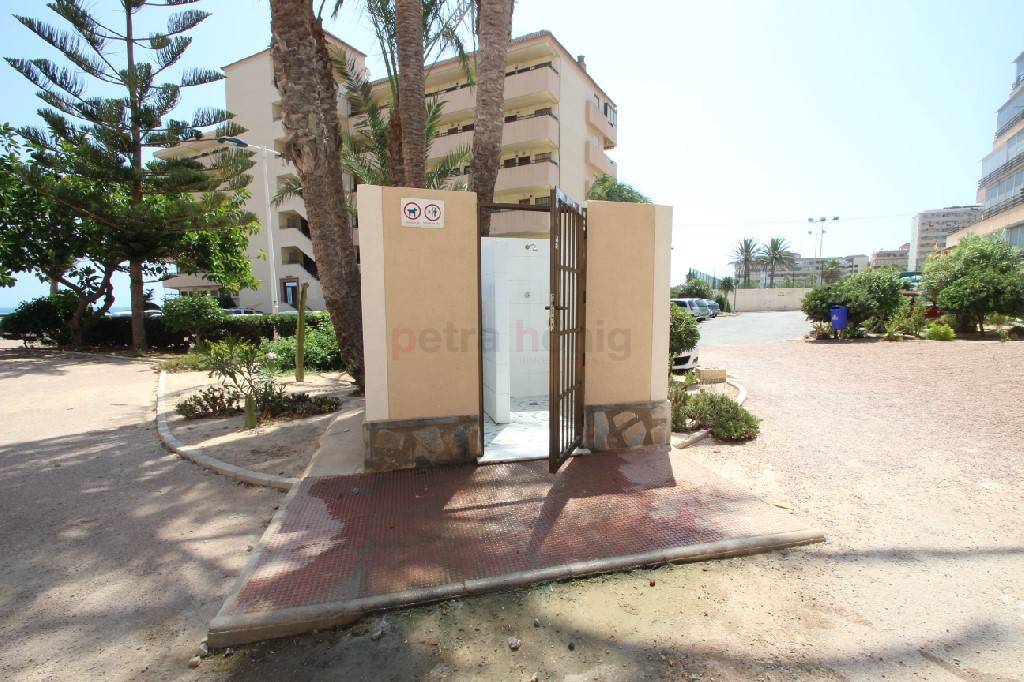 Reventa - Apartamento - Torrevieja - Cabo Cervera