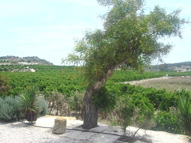 Gebrauchtobjekte - Einfamilienhaus - Other areas - Torremendo