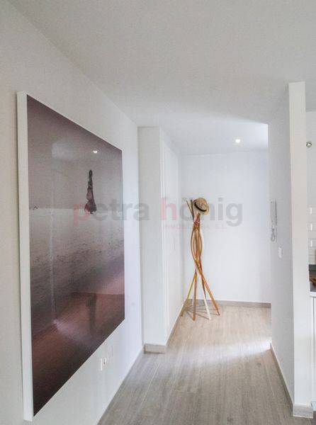 Neubau-Projekte - Apartment - San Miguel de Salinas