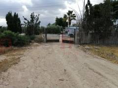 Sale - Finca - Crevillente