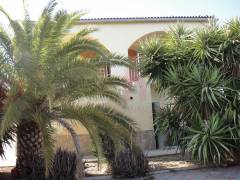 A Vendre - Finca - Crevillente