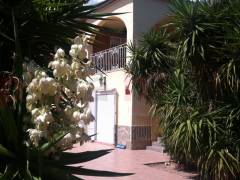 Sale - Finca - Crevillente