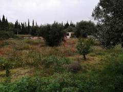 A Vendre - Finca - Crevillente