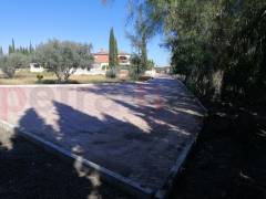 Reventa - Finca - Crevillente