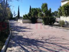 Reventa - Finca - Crevillente