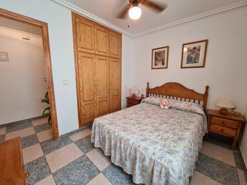 Gebrauchtobjekte - Apartment - La Mata