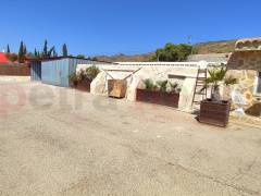 Sale - Finca - Crevillente