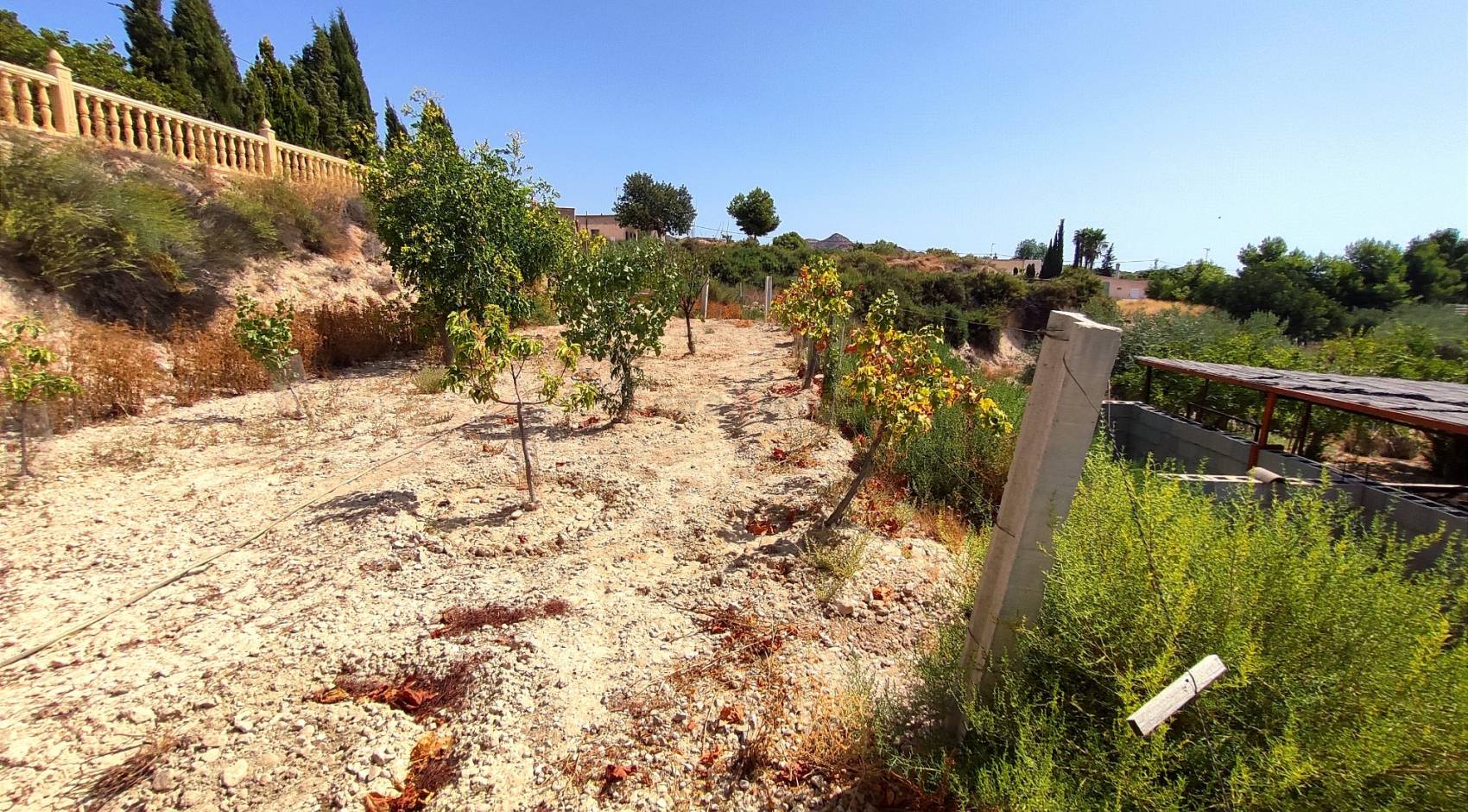 Gebrauchtobjekte - Finca - Crevillente