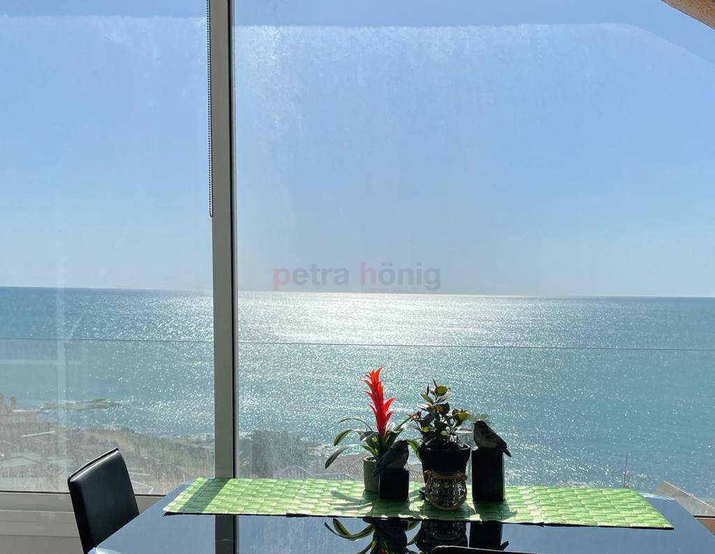 A Vendre - Appartement - La Mata