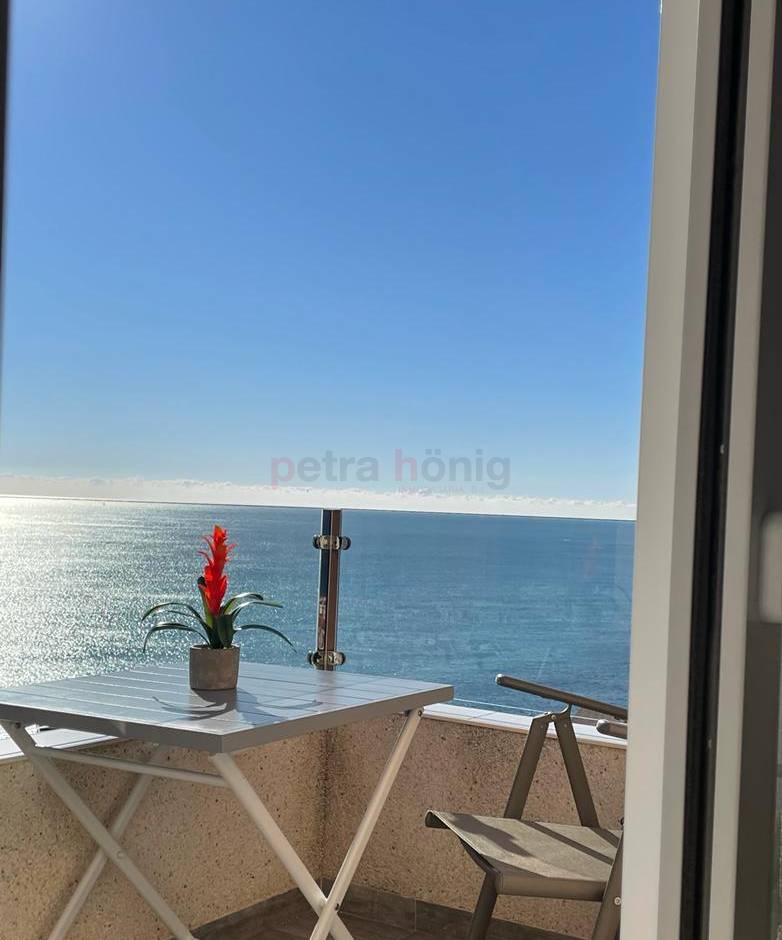 Reventa - Apartamento - La Mata