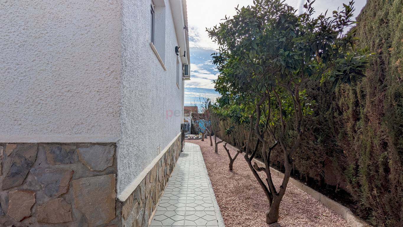 Gebrauchtobjekte - Einfamilienhaus - Ciudad Quesada - Town Center