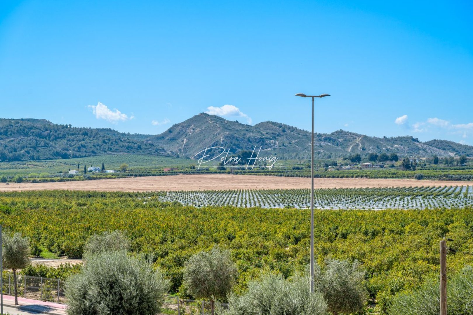 A Vendre - Appartement - Algorfa - La Finca Golf - Fontana