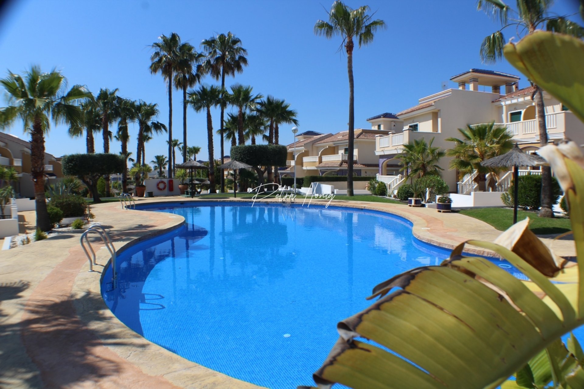 A Vendre - Appartement - Ciudad Quesada - Dona Pepa