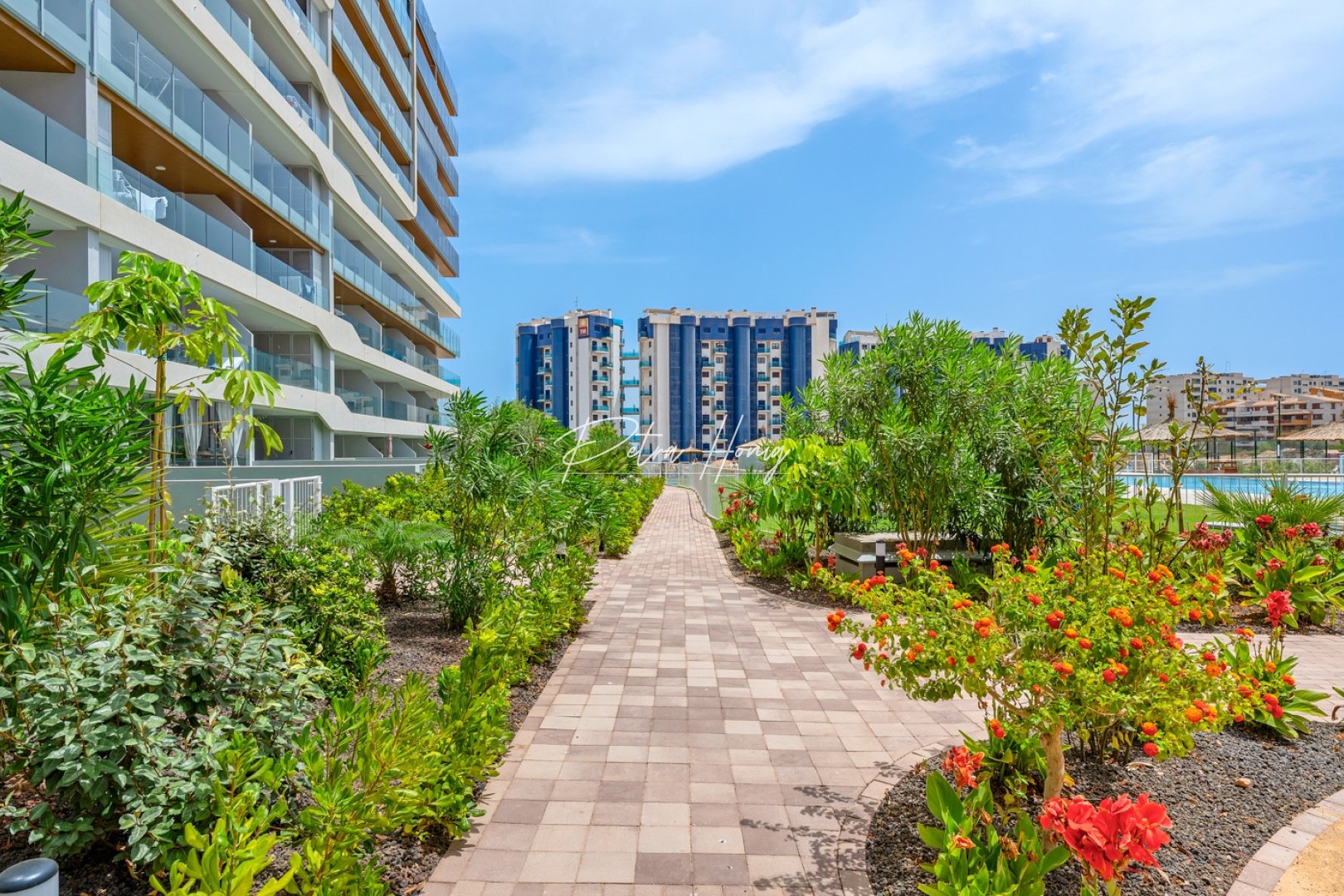 A Vendre - Appartement - Orihuela Costa - Punta Prima
