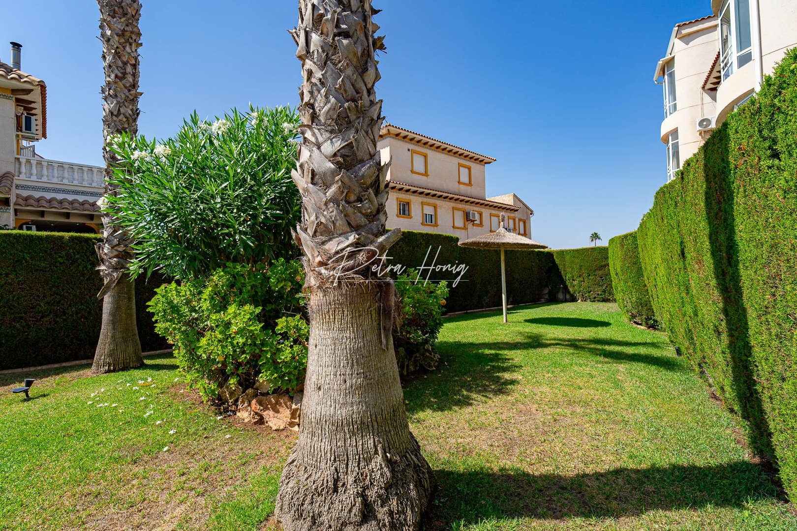 A Vendre - Appartement - Punta Prima