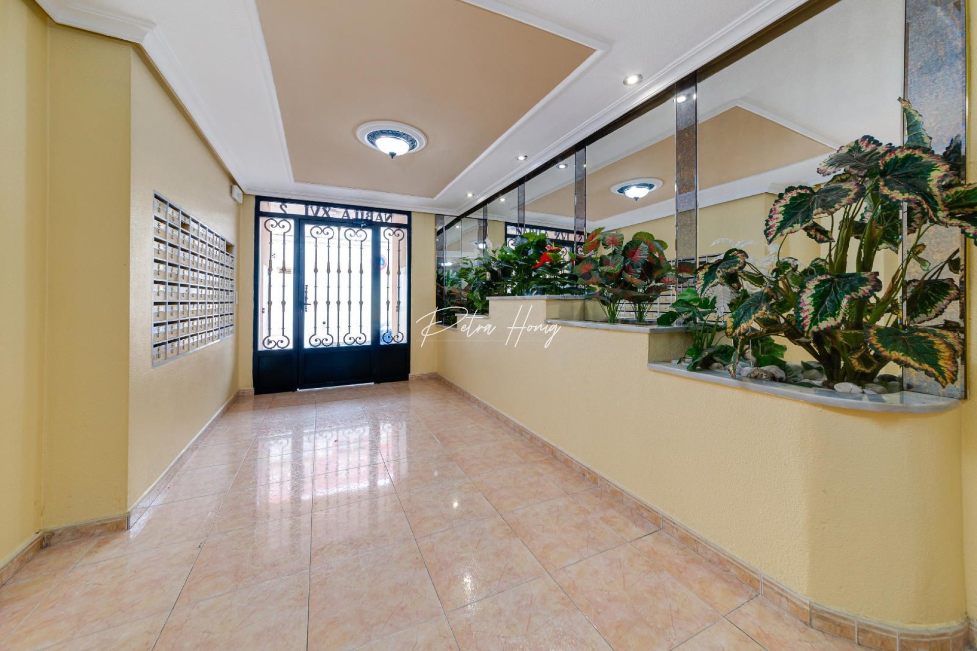 A Vendre - Appartement - Torrevieja - Centro