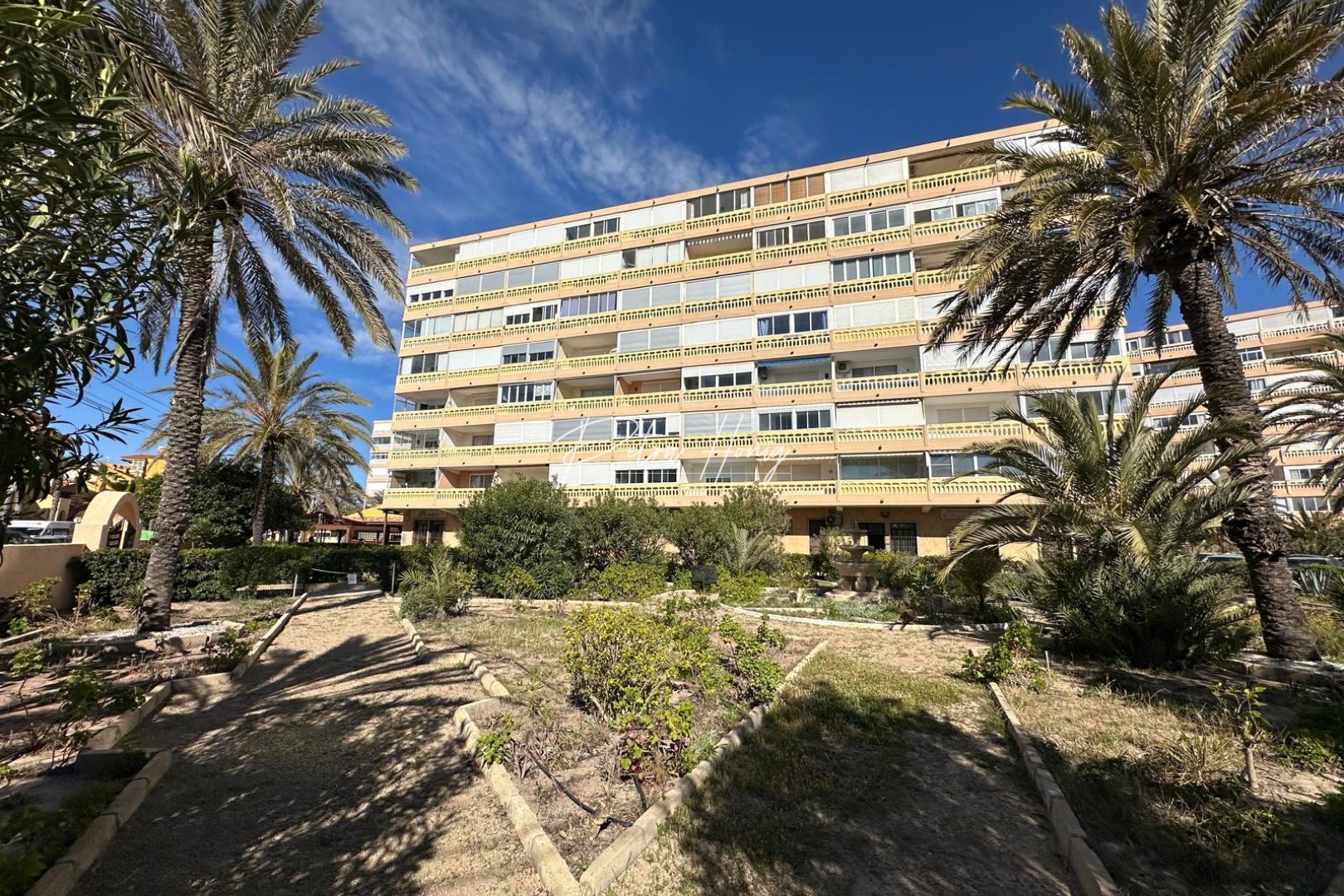 A Vendre - Appartement - Torrevieja - La Mata