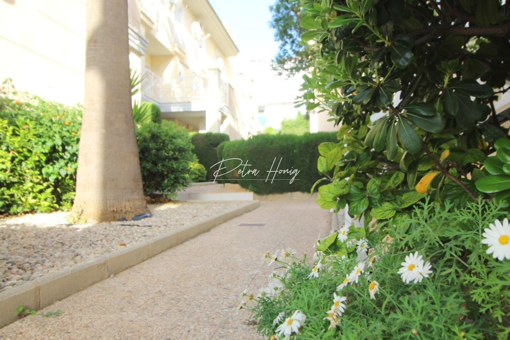 A Vendre - Appartement - Torrevieja - La Veleta