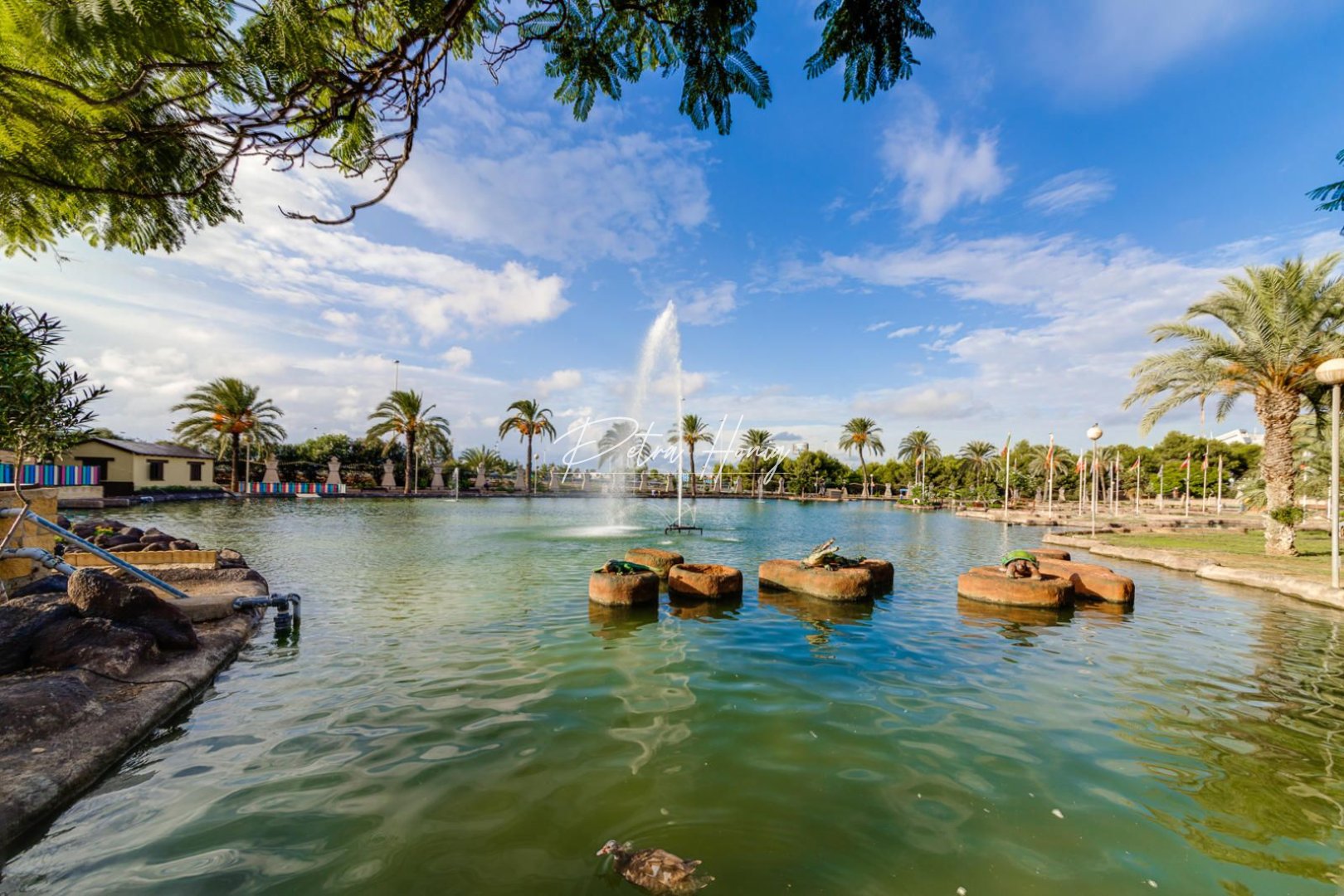 A Vendre - Appartement - Torrevieja - Parque las naciones