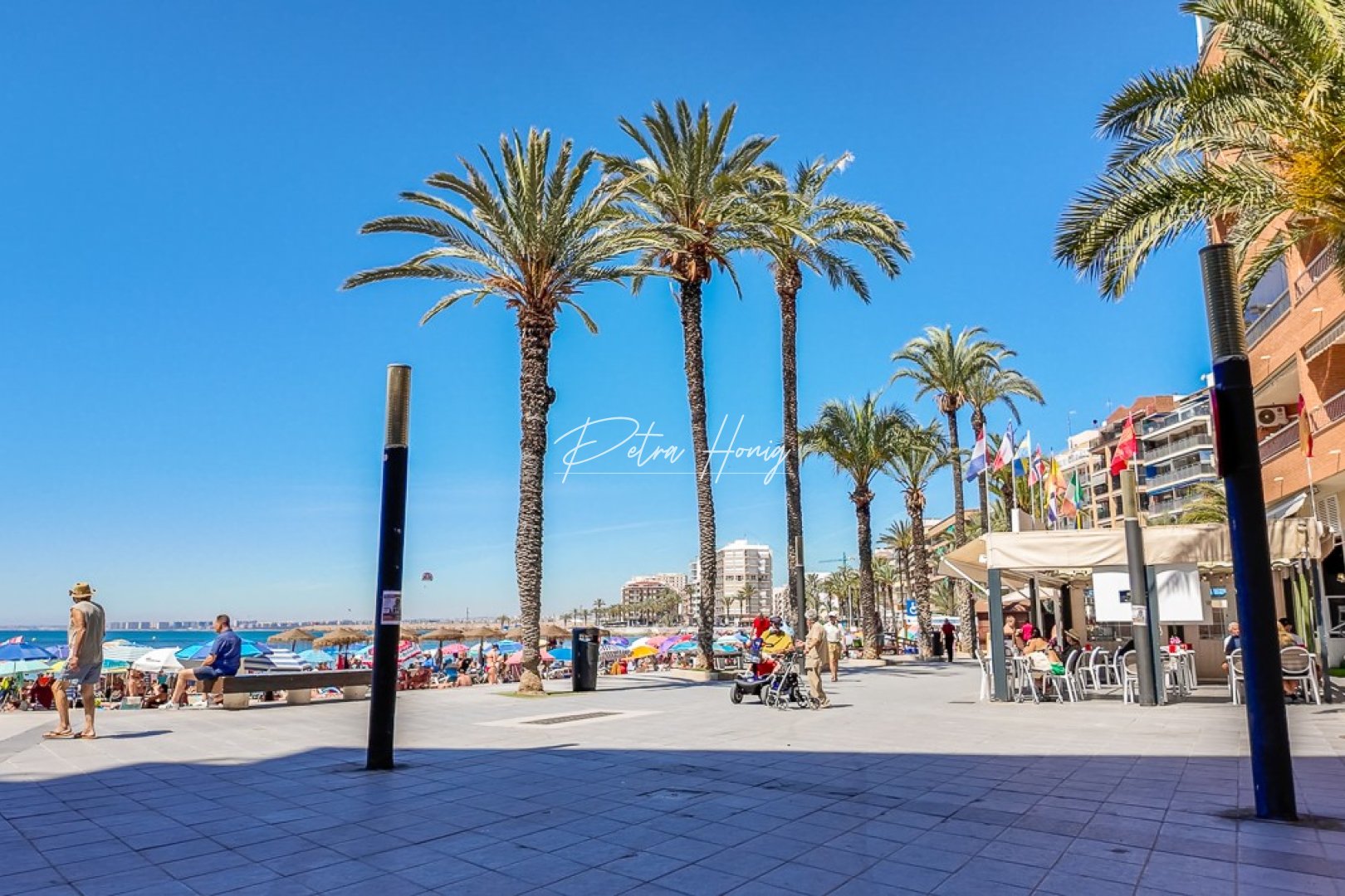 A Vendre - Appartement - Torrevieja