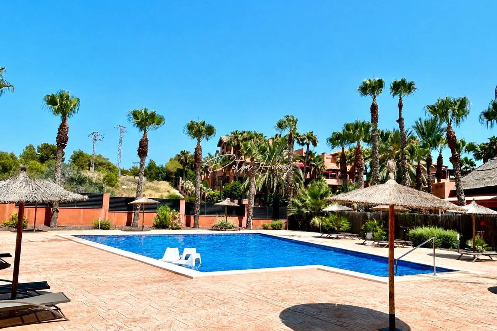 A Vendre - Appartement - Villamartin