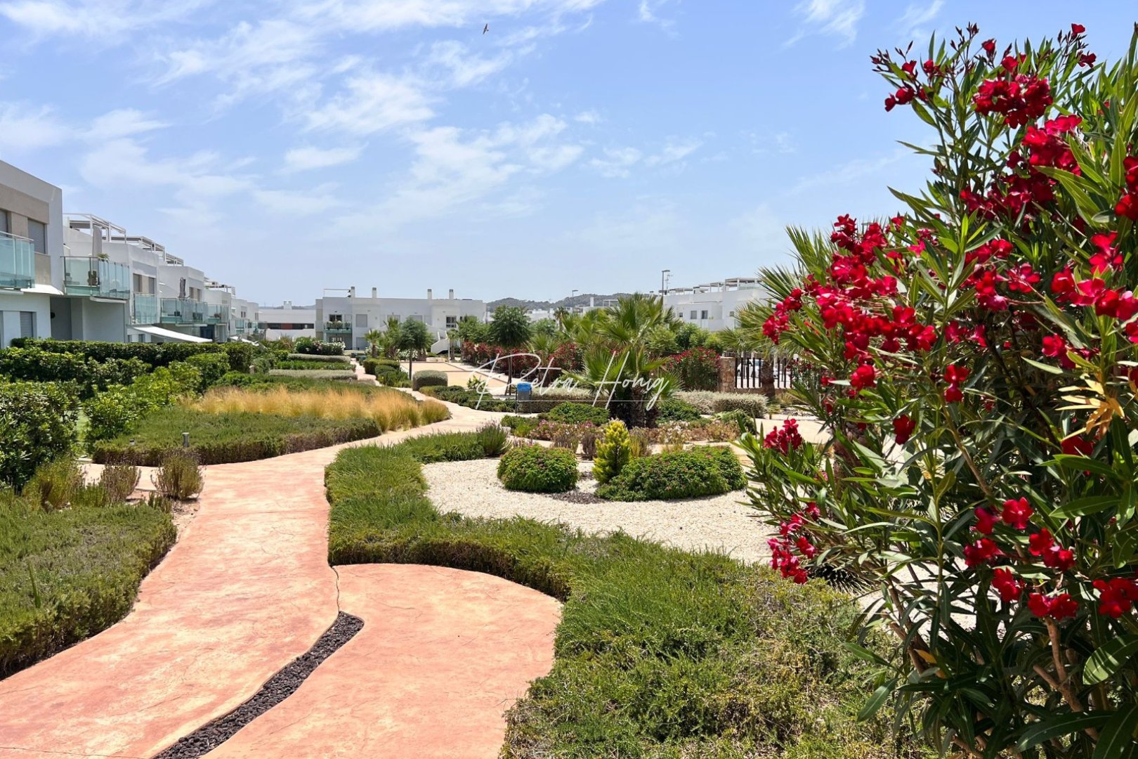 A Vendre - Appartement - Vista Bella Golf - Entre Naranjos Vistabella Golf