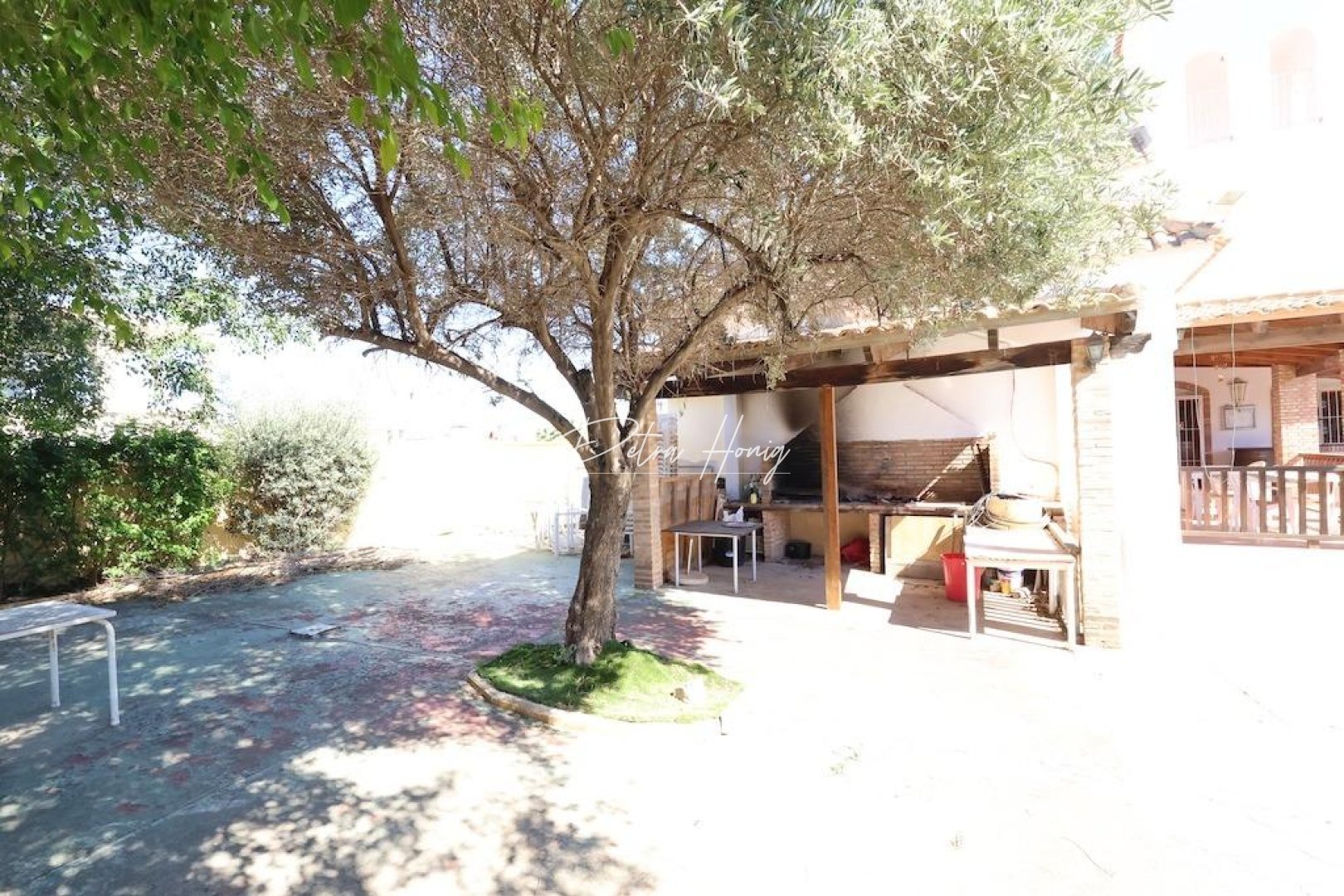 A Vendre - Commercial - Orihuela Costa - La Zenia