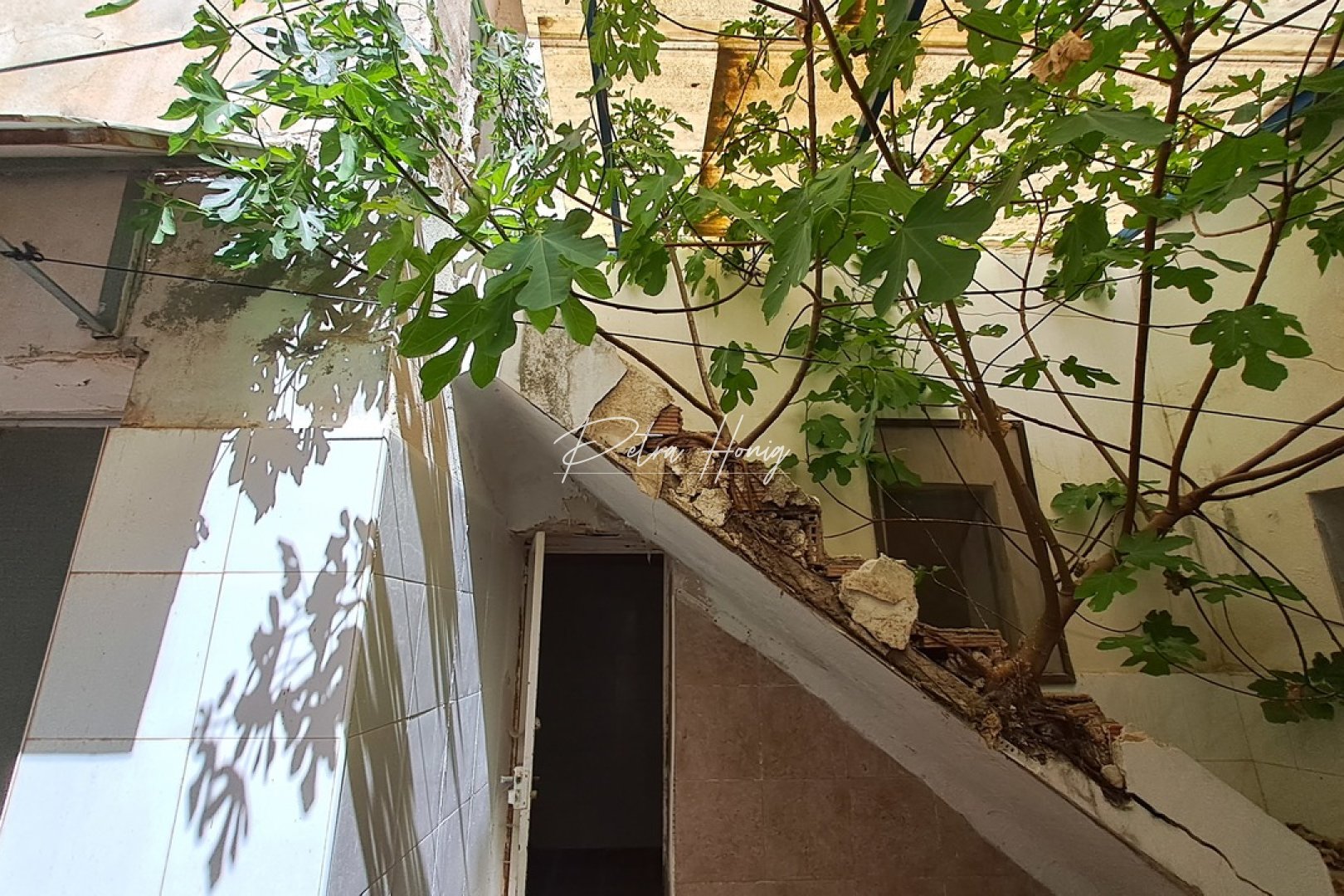 A Vendre - Commercial - Orihuela Costa - Orihuela