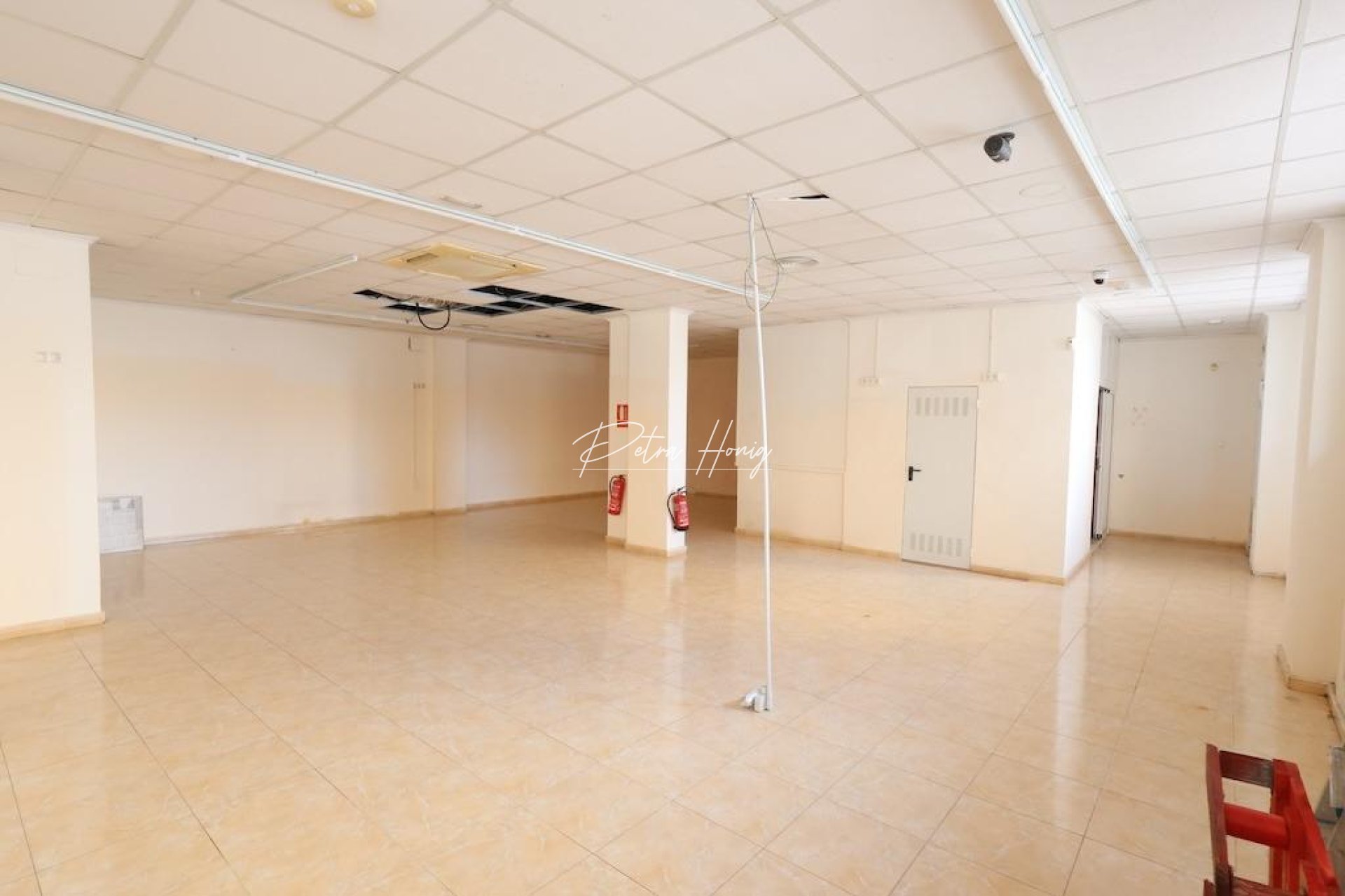 A Vendre - Commercial - Torrevieja - Estacion de autobuses