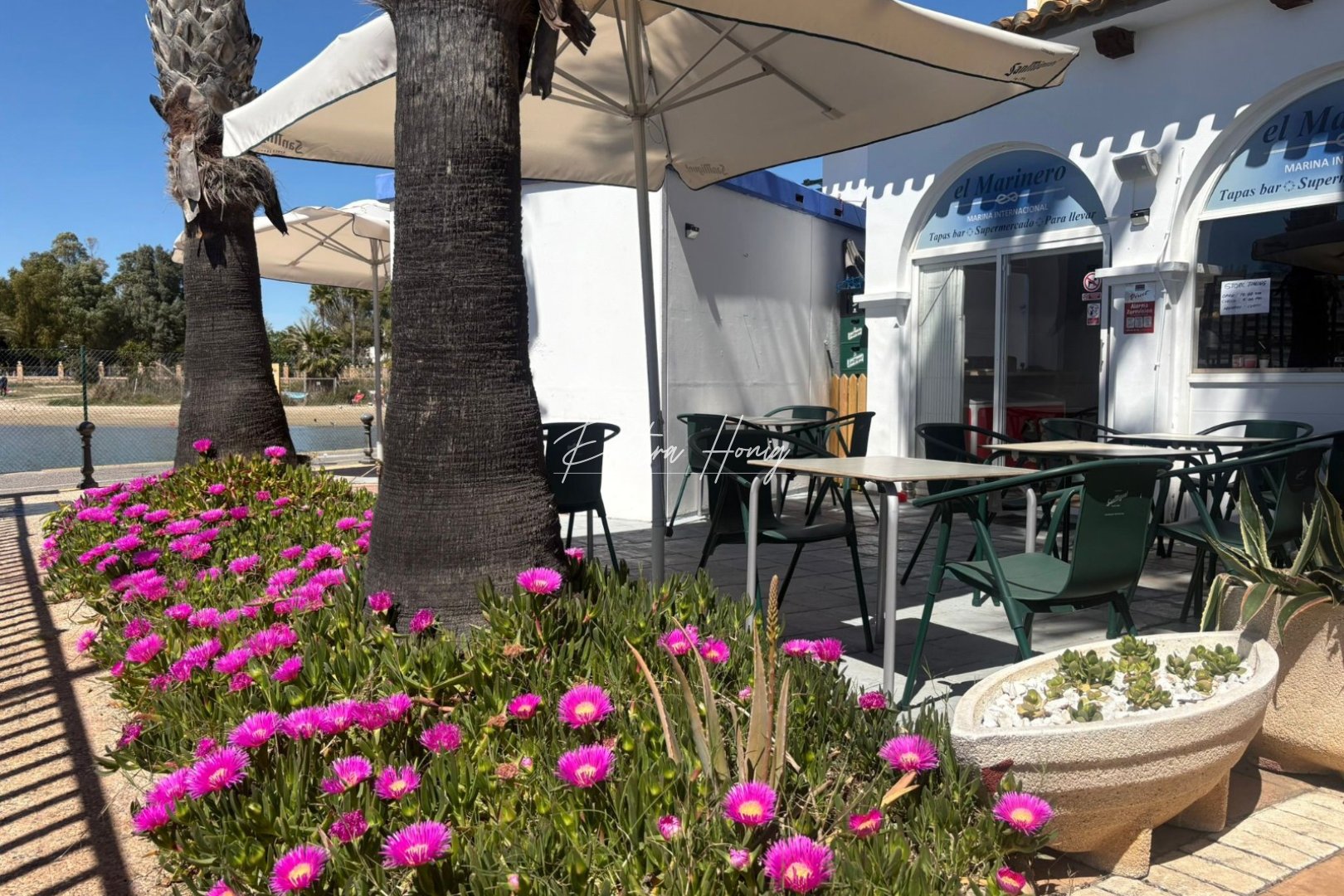 A Vendre - Commercial - Torrevieja - Puerto