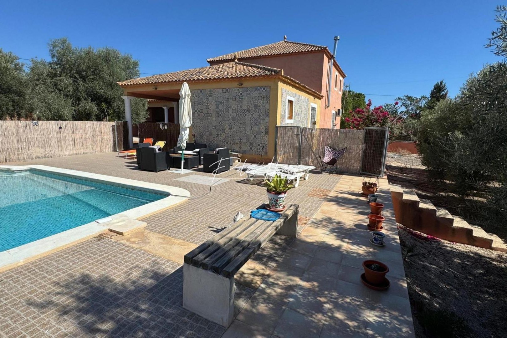 A Vendre - Finca - Albatera - BARRANCO SAN CAYETANO