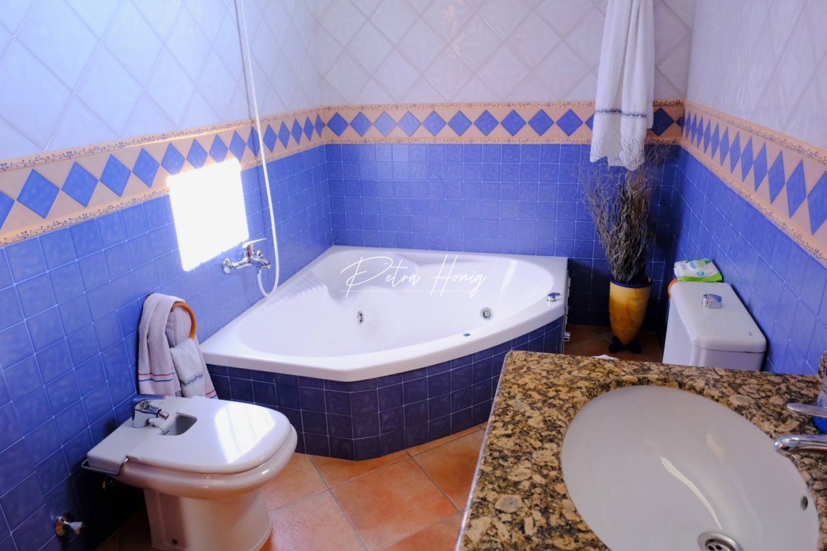 A Vendre - Finca - Country Property - Orihuela Costa - Orihuela