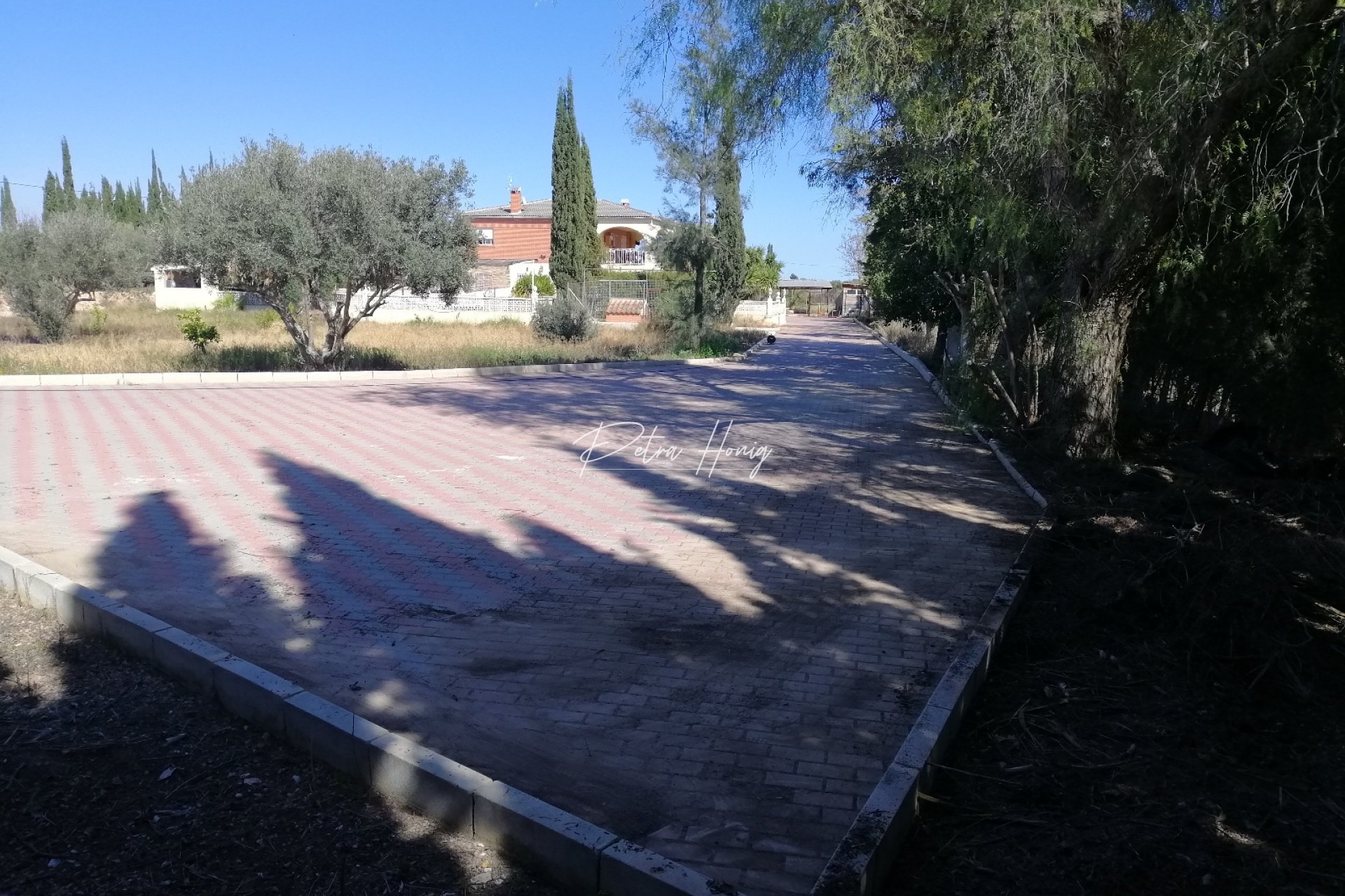 A Vendre - Finca - Crevillente