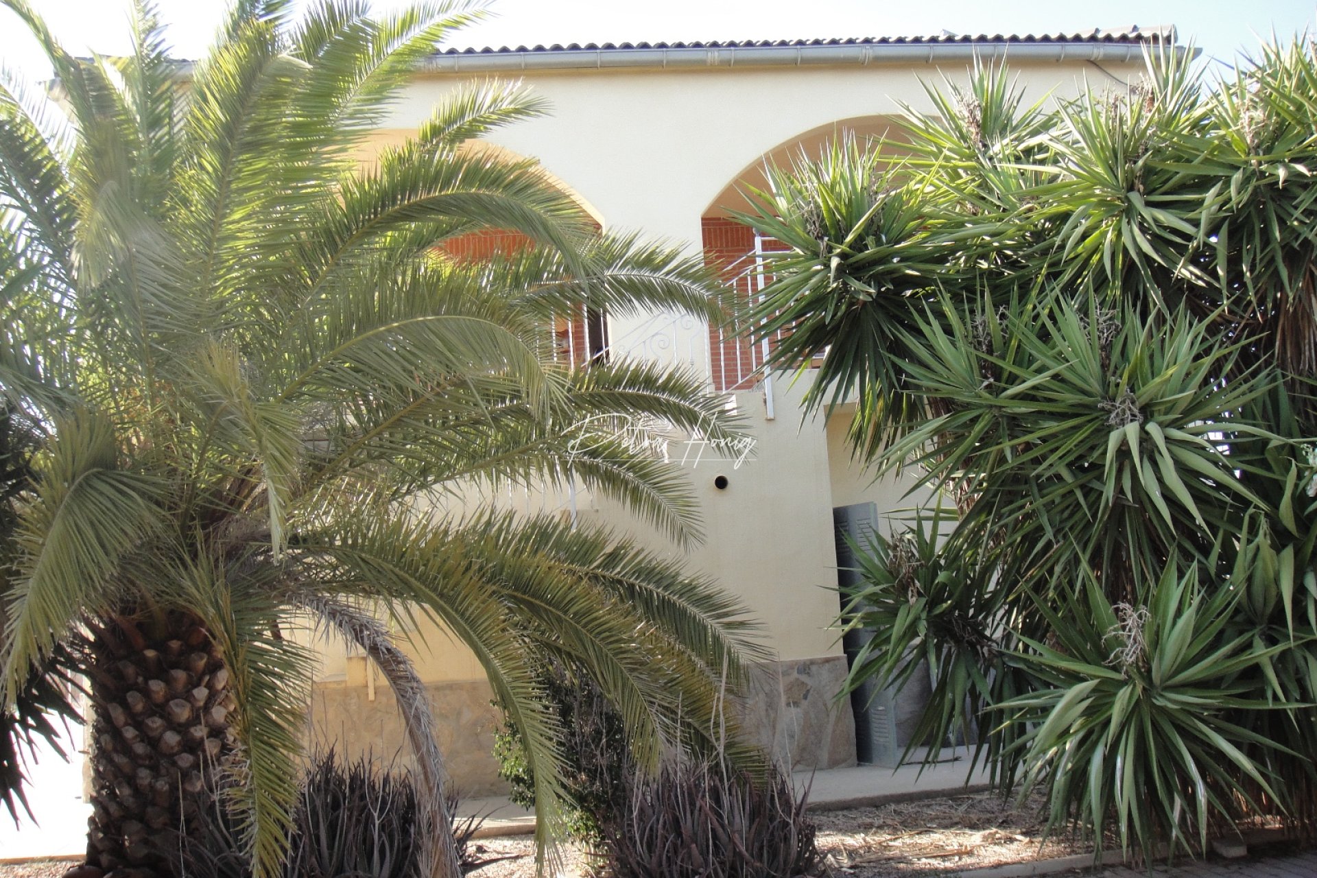 A Vendre - Finca - Crevillente