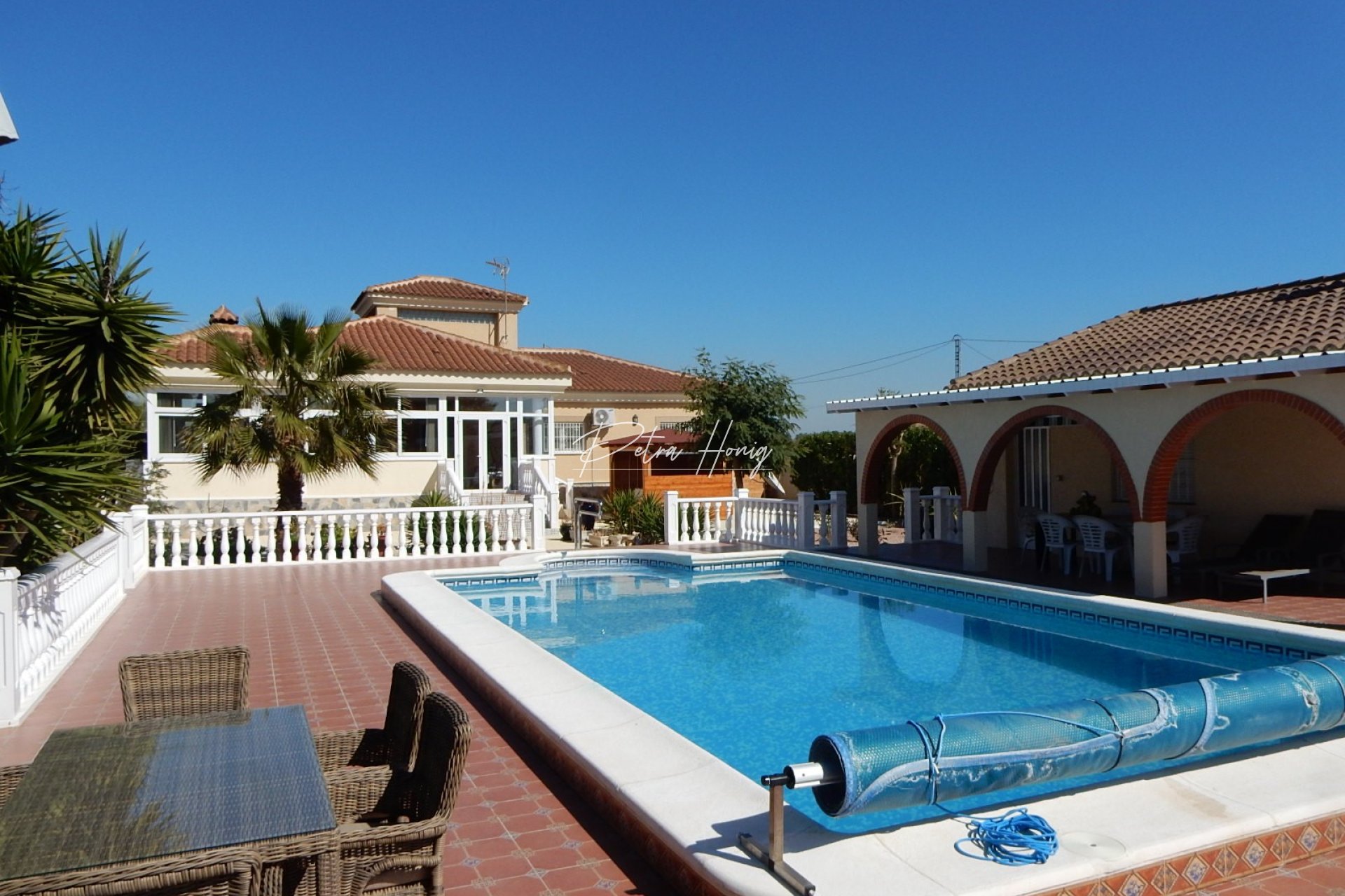 A Vendre - Finca - Daya Vieja