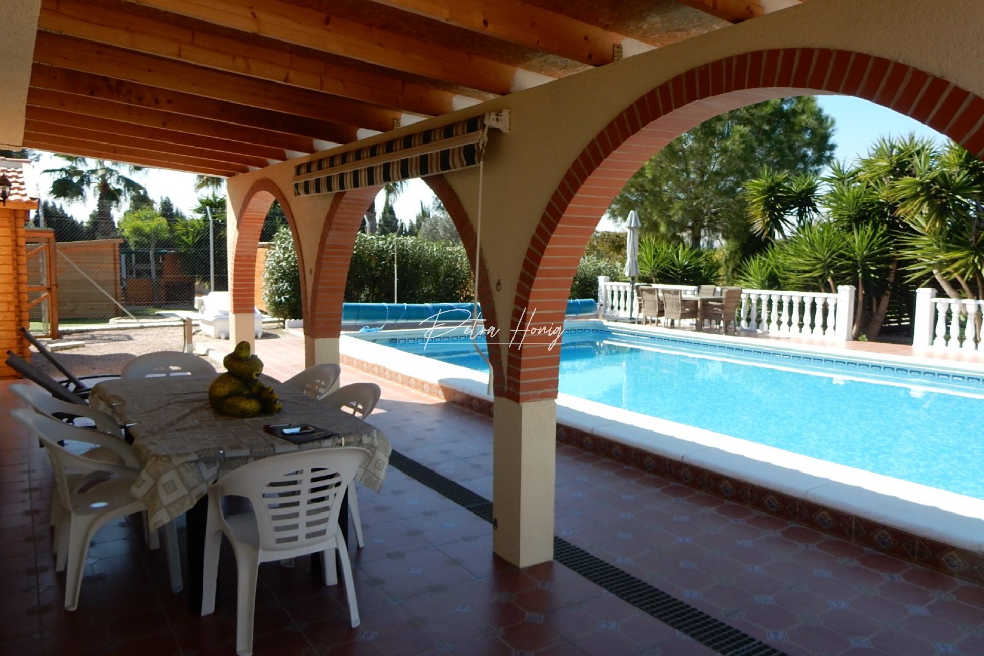 A Vendre - Finca - Daya Vieja