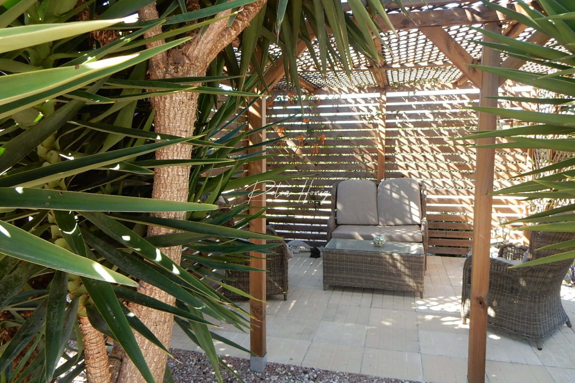 A Vendre - Finca - Daya Vieja