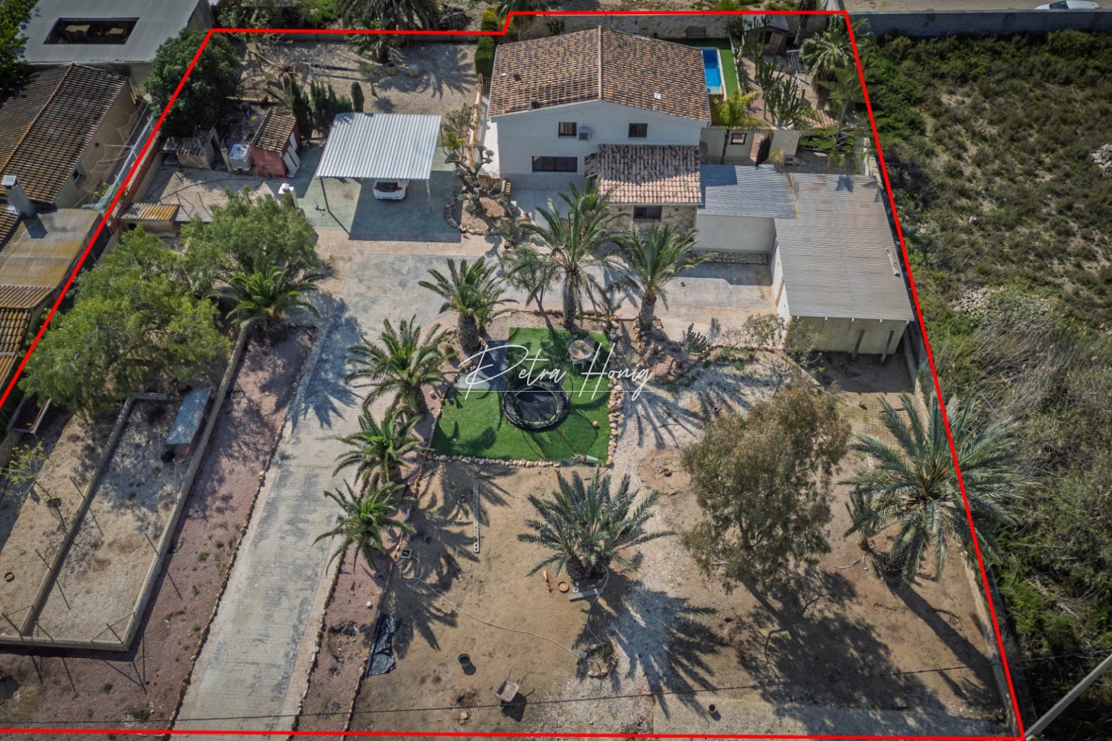 A Vendre - Finca - Elche - Daimés