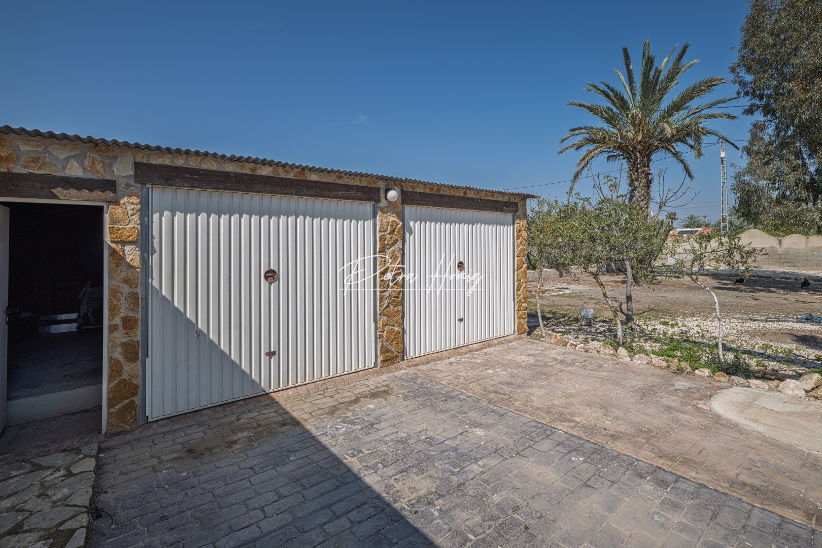 A Vendre - Finca - Elche - Daimés