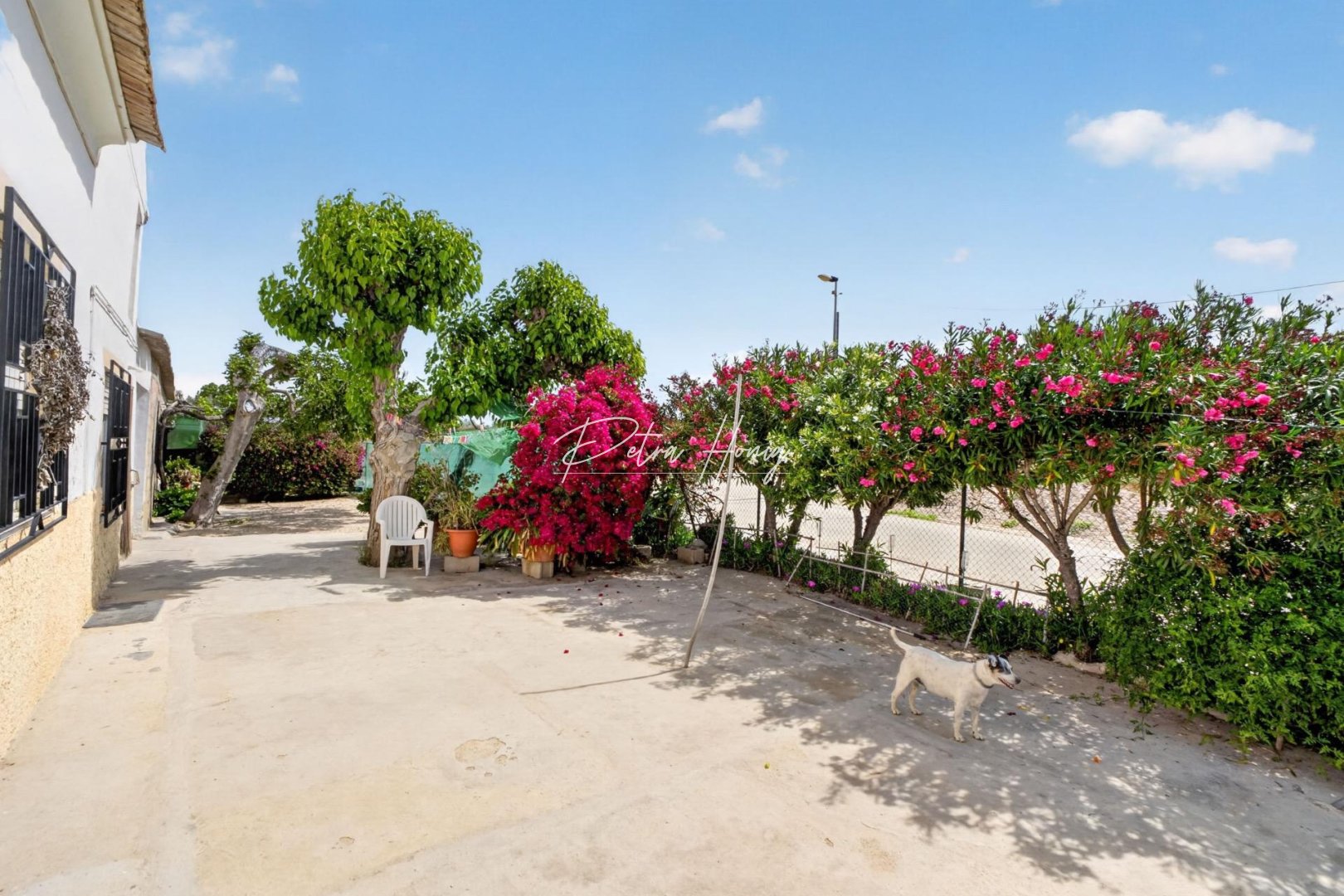 A Vendre - Finca - Other areas - Desamparados-Hurchillo-Torremendo