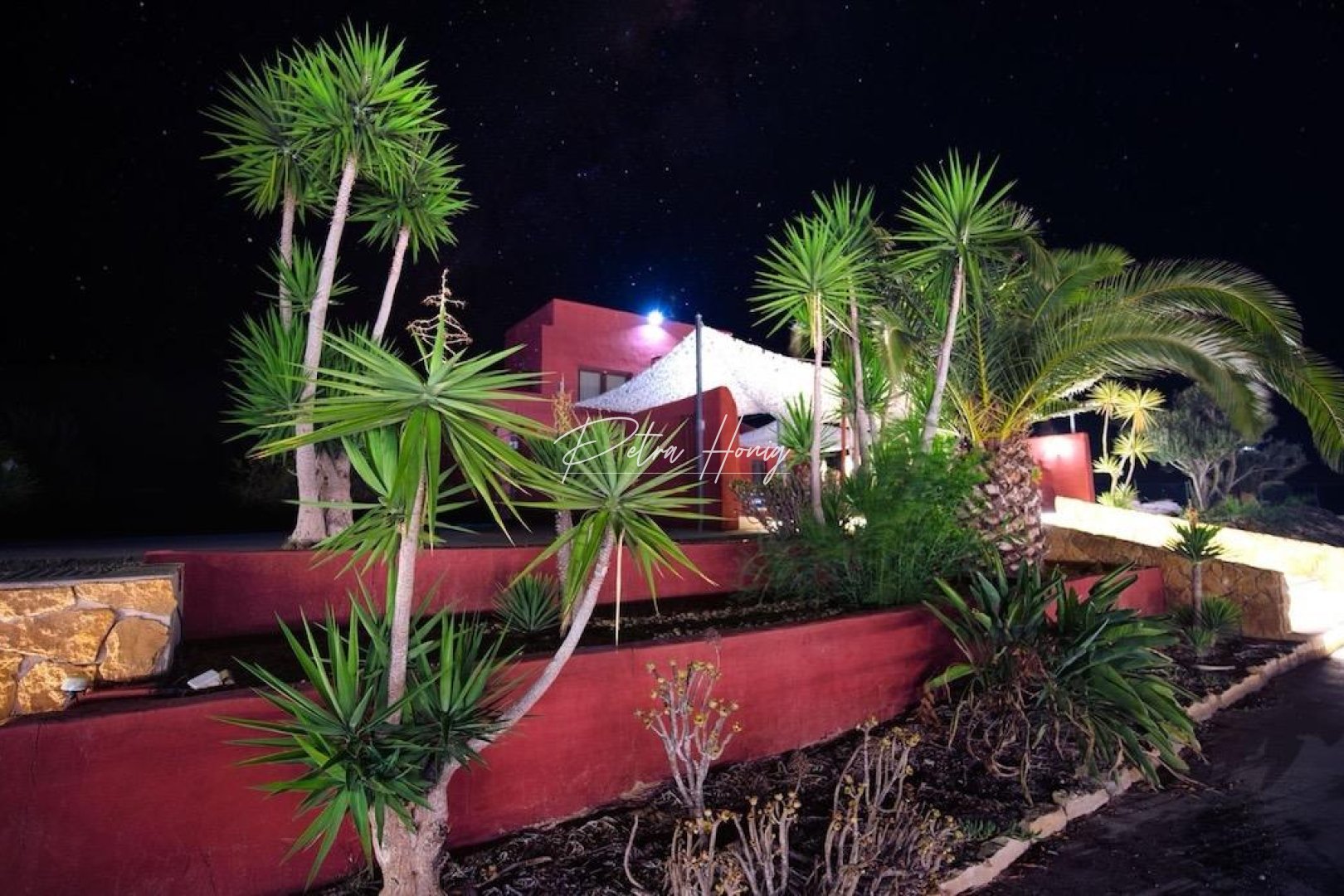 A Vendre - Finca - Other areas - Torremendo