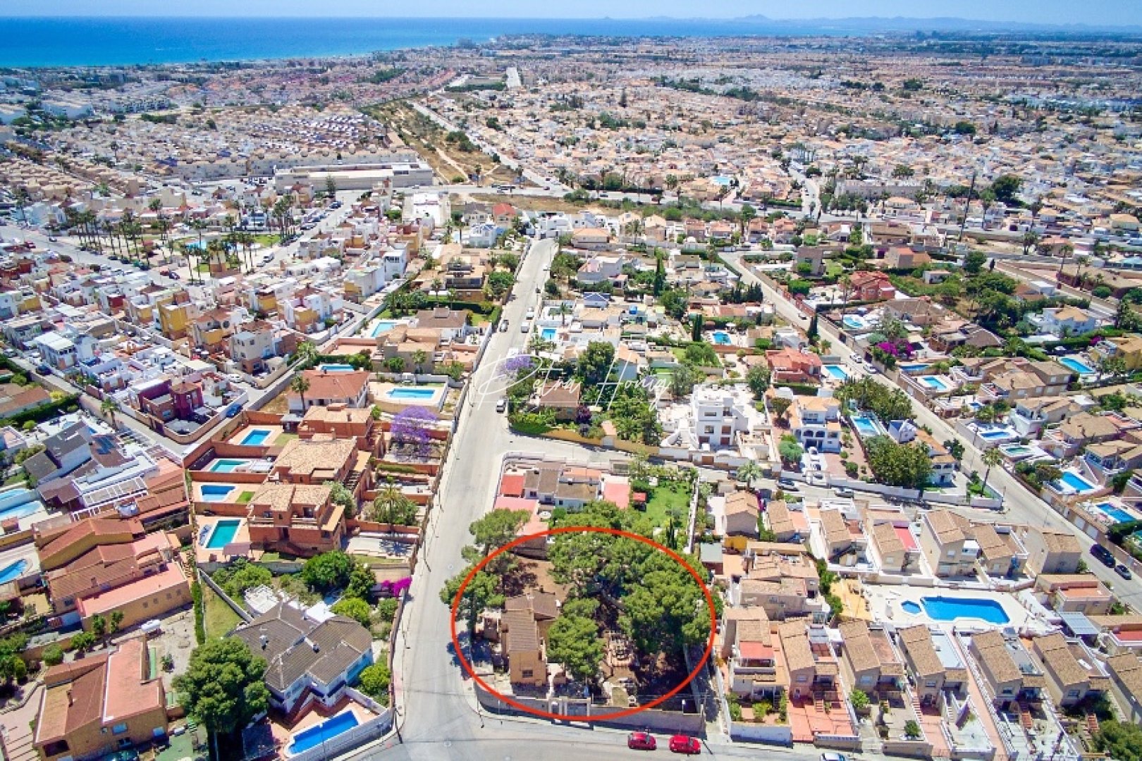 A Vendre - Finca - Torrevieja - Los Balcones