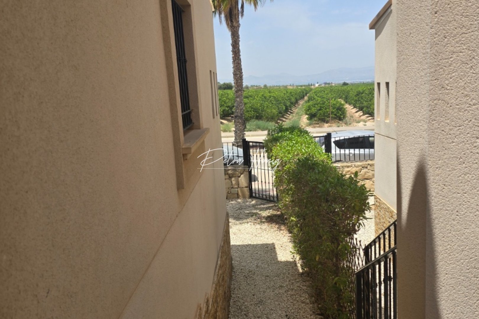 A Vendre - Jumelée - Algorfa - La Finca Golf - La Finca Golf