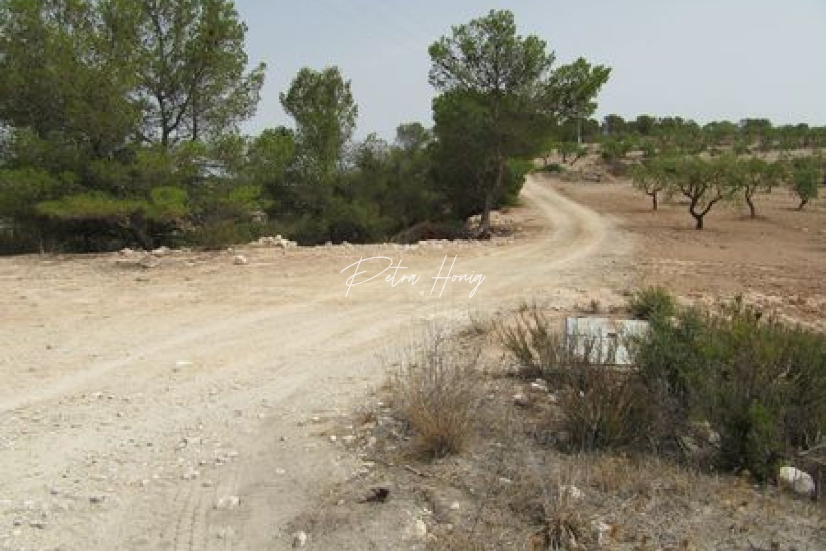 A Vendre - Terrain - Other areas - Murcia