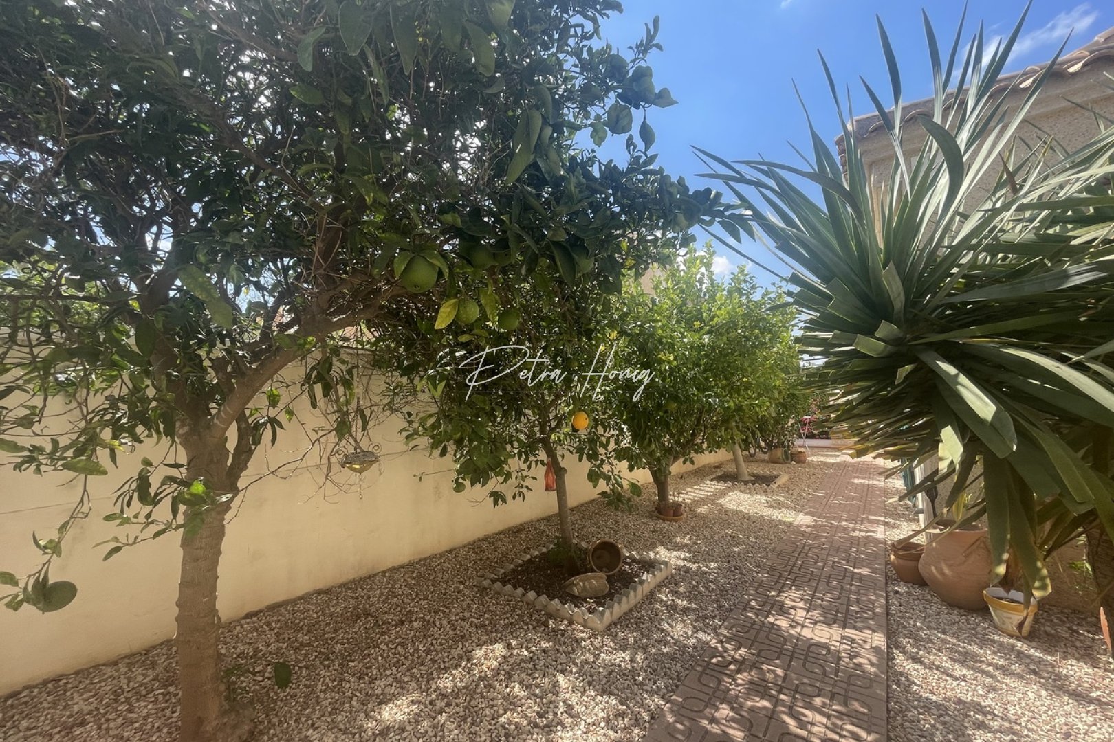 A Vendre - Villa - Algorfa - La Finca Golf - Algorfa