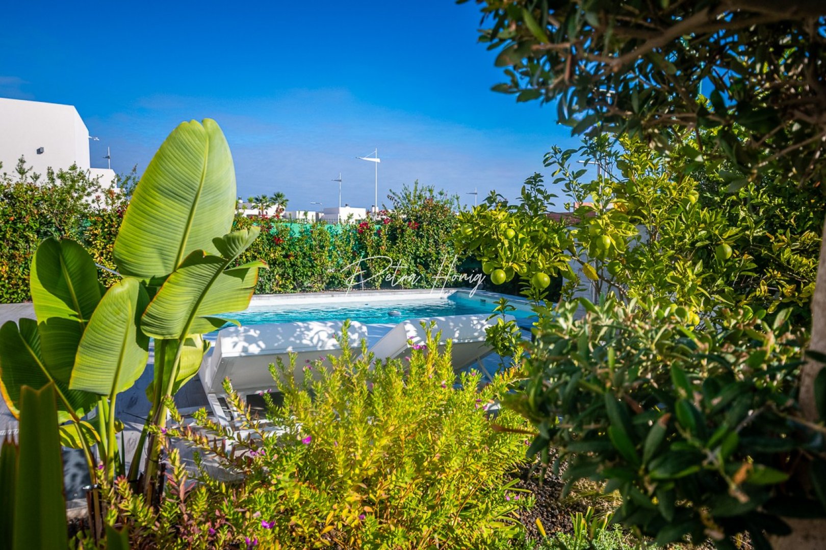 A Vendre - Villa - Algorfa - La Finca Golf - LA FINCA GOLF / ALGORFA