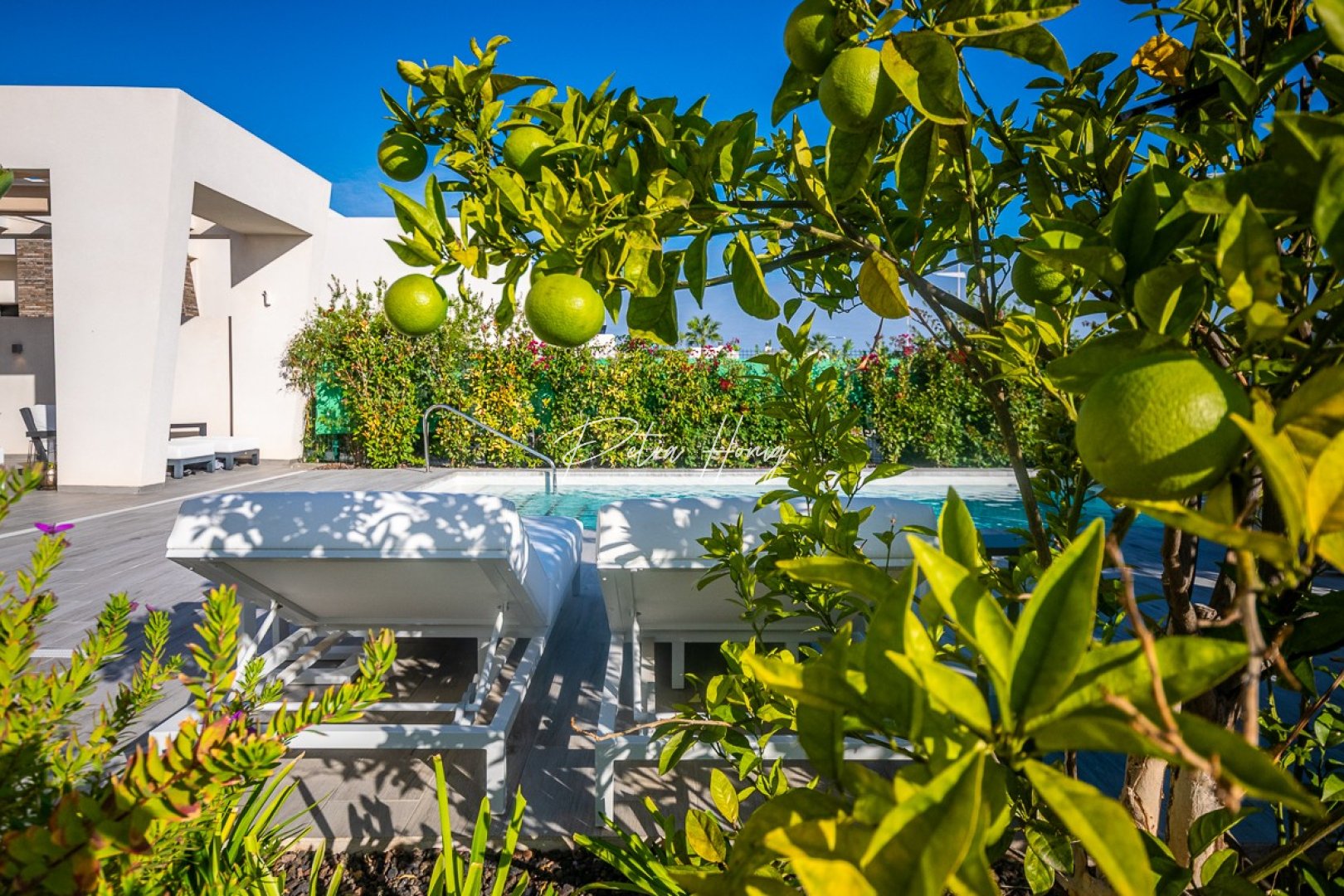 A Vendre - Villa - Algorfa - La Finca Golf - LA FINCA GOLF / ALGORFA