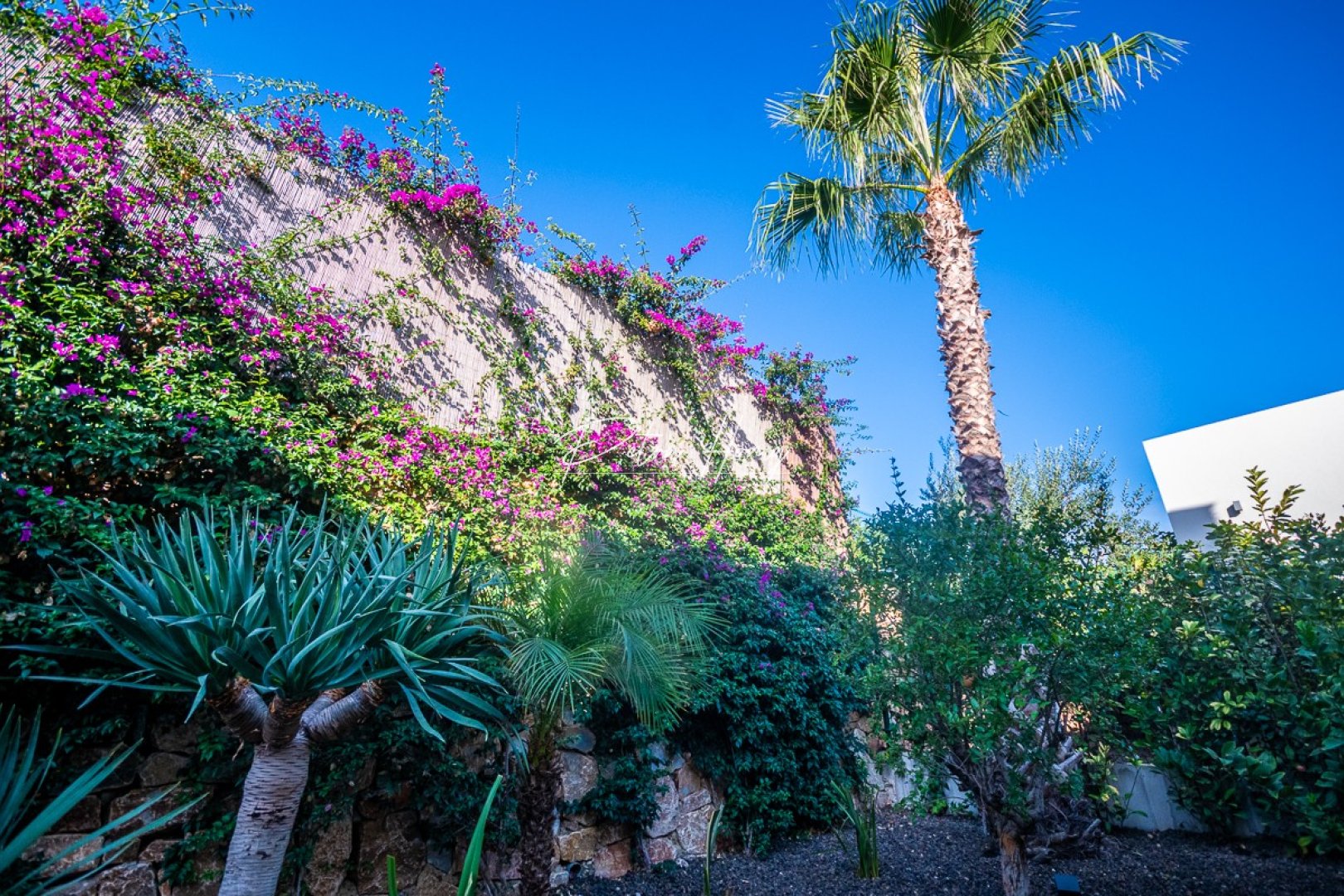 A Vendre - Villa - Algorfa - La Finca Golf - LA FINCA GOLF / ALGORFA